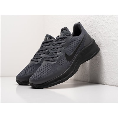 Кроссовки Nike Pegasus