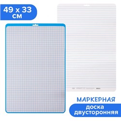 Доска маркерная A3 (49×33 см) Calligrata, двусторонняя: клетка/линейка, синяя