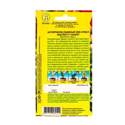 Семена цветов Львиный зев Кракл энд поп F1 сансет  С. Floranova Цветущий балкон, Ц/П,7 шт.