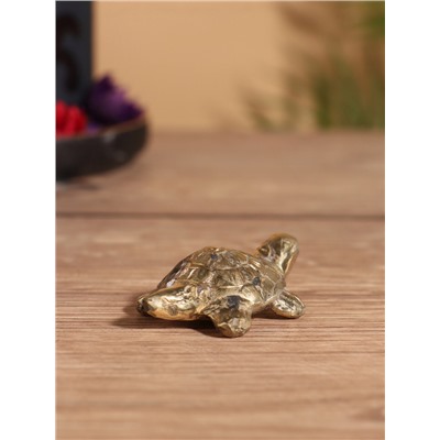 Сувенир «Черепашка», 7×5×2 см, бронза