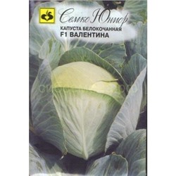 Капуста бк Валентина F1 (С)