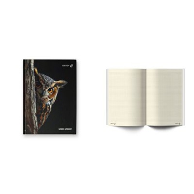 Бизнес-блокнот А5  64л клетка французская "Сова - мудрая голова" 01673 (ББ246) SVETOCH