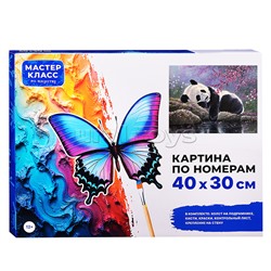 Набор для рисования "Картина по номерам 30х40 см. Спящая панда"