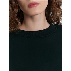 КОМПЛЕКТ ЖЕНСКИЙ (СВИТШОТ, БРЮКИ) 192562