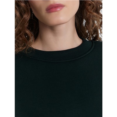 КОМПЛЕКТ ЖЕНСКИЙ (СВИТШОТ, БРЮКИ) 192562