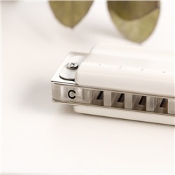 Губная гармошка Music Life T008L C диатоническая, 10 отверстий, с футляром