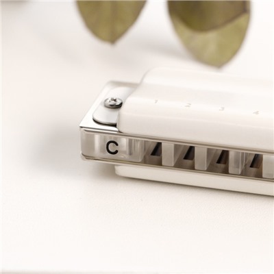 Губная гармошка Music Life T008L C диатоническая, 10 отверстий, с футляром