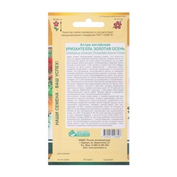 Семена цветов астра китайская «Хризантелла Золотая Осень», 5 шт.