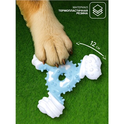 Игрушка для собак «Кость-треугольник», 12 см, двухслойная, твёрдый и мягкий пластик, 12 см, голубая