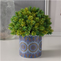 Вазон керамика «Марокко» 200 мл 7.3×7.3×7.3 см