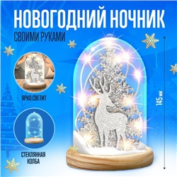 УЦЕНКА Набор для творчества «Новогодний ночник», деревянные вставки