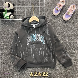 кофта с начесом 2055467-1