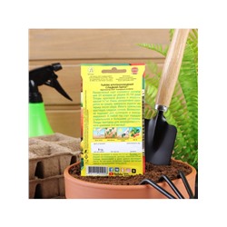 Набор семян Тыква крупноплодная «Сладкий пирог», 5 шт., «Мой выбор»