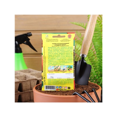 Набор семян Тыква крупноплодная «Сладкий пирог», 5 шт., «Мой выбор»