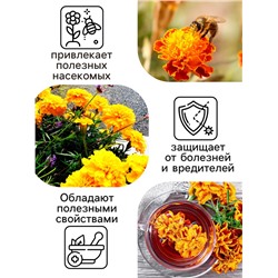 Семена цветов Бархатцы прямостоячие «Лимонное чудо», 0.3 г