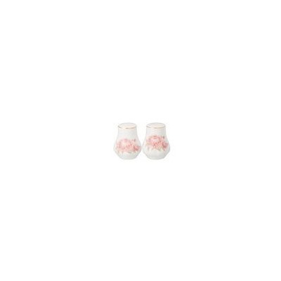 Набор для специй 2пр. АСТРА 7*5,5см  LEFARD