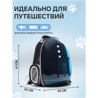 Рюкзак для переноски кошек и собак, 33×25×41 см, прозрачный, с напылением