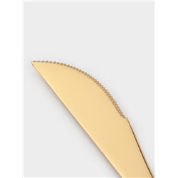 Набор столовых приборов Magistro «Фолк», 4 предмета, нержавеющая сталь, цвет металла золотой, серебряный ручки