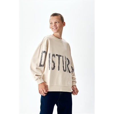 Толстовка SMENA, 1104568