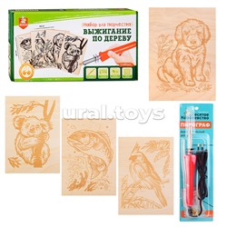 Выжигание. Набор для выжигания по дереву (аппарат с насадками, доски 5 шт)