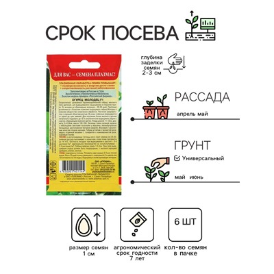 Семена Огурец "Молодец", F1, 6 шт