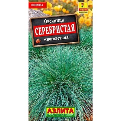 Овсяница Серебристая Аэлита