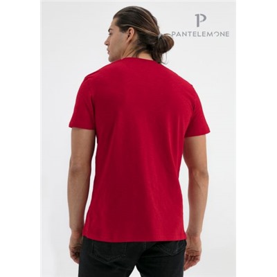 MF-913 (Футболка мужская, PanteLemone )