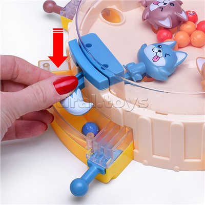 Игра настольная "Поймай шарик" в коробке