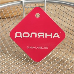 Фритюрница Доляна, d=22 см, со съёмной ручкой, серебристая