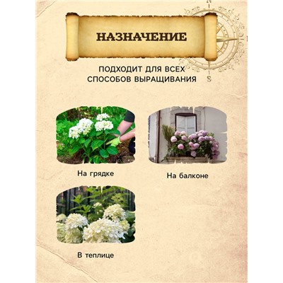 Грунт для Гортензий PETER PEAT, линия «Хобби», 20 л