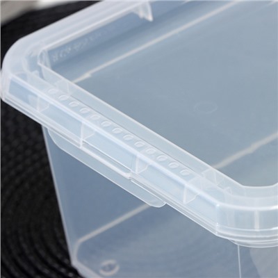 Контейнер для хранения Palm, 2 л, 19×15.3×9.8 см, с крышкой, прозрачный