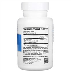 Lake Avenue Nutrition, экстракт расторопши, 175 мг, 90 растительных капсул