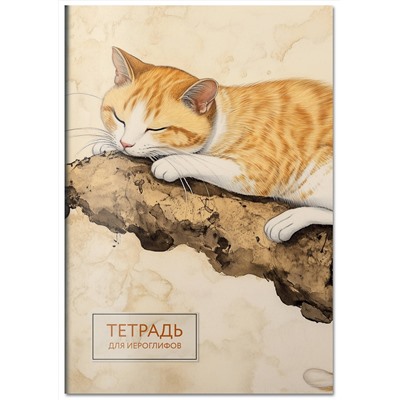 Эксмо "Тетрадь для иероглифов (рыжий котик)"