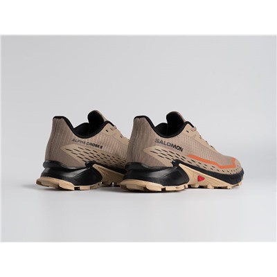 Кроссовки Salomon Alphacross 5 GTX