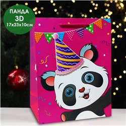 Бумажный пакет 3Д Панда 23х17х10см