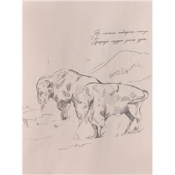 ФУТБОЛКА МУЖСКАЯ 111846