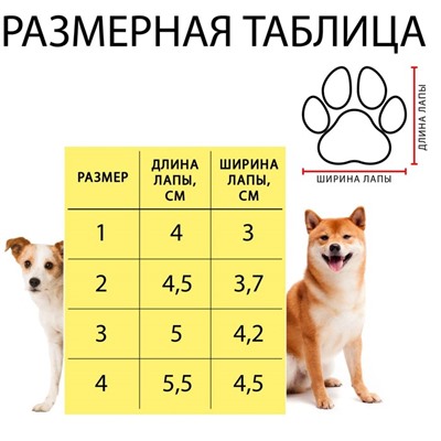 Ботинки Элеганс, набор 4 шт., размер 2 (подошва 4.5×3.7 см) коричневые