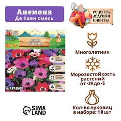 Анемона "Де Каен смесь", р-р 6/7, 10 шт, Весна 2025