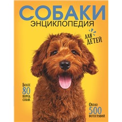 АСТ Барановская И.Г., Вайткене Л.Д., Прудник А.А. "Самая лучшая иллюстрированная энциклопедия. Собаки"