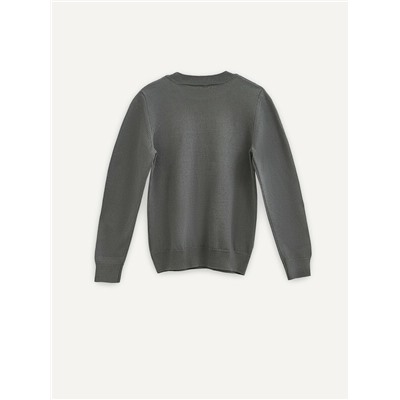 Джемперы ESLI Джемпер для мальчика 24С-13СП