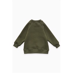 Толстовка футер начёс "Стейн" 30104 НАТАЛИ, 1064167