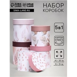 Набор шляпных подарочных коробок 5 в1 «Легкость», 20×20 - 15×15 см