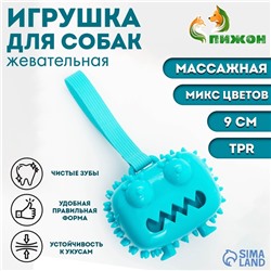 Игрушка под лакомства для собак «Квадратный монстр» 9 см, ТПР, микс цветов