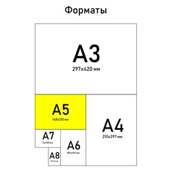 Блокнот А5, 40 л. на гребне в клетку «Аниме»