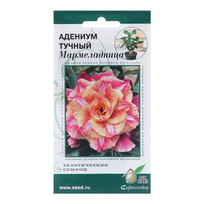 Семена цветов Адениум тучный «Мармеладница», 3 шт., «Дом семян»