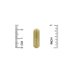 Oregon's Wild Harvest, Alfalfa, 90 Capsules