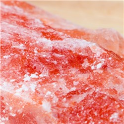 Кирпич из гималайской соли натуральная, 20х10х2,5, "Добропаровъ"