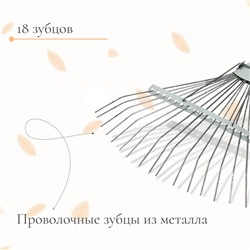 Грабли веерные, проволочные, 18 зубцов, оцинкованные, без черенка