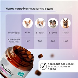 Favet Функциональное лакомство PetPantel Soft Chews для мышц и суставов для собак, 120 г