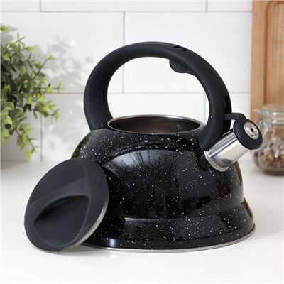 Чайник со свистком Доляна «Рио», 2.8 л, чёрный
